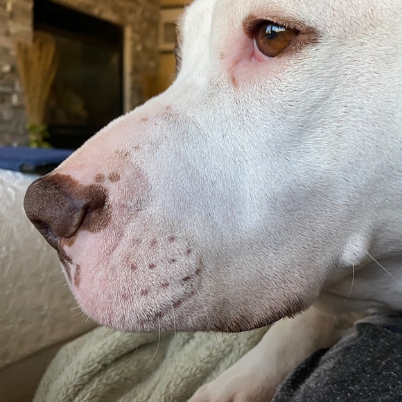 Make me an offer or bundle your likes - Picture 11 of 14